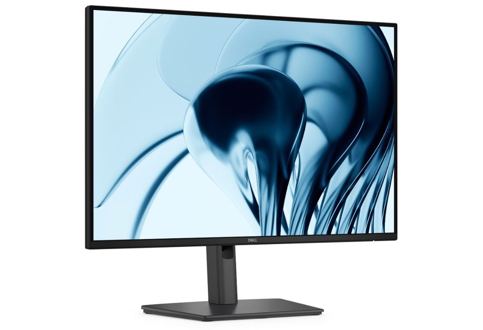 Dell Pro P/P2426/24"/IPS/FHD/100Hz/5ms/Čierna/3RNBD