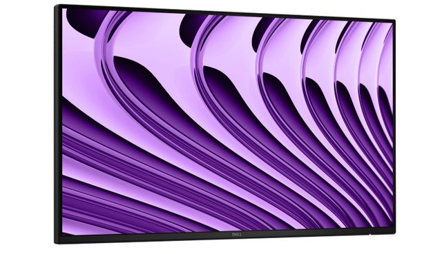 Dell Pro P/P2426HE/bez stojana/23,8"/IPS/FHD/120Hz/5ms/Sivá/3R