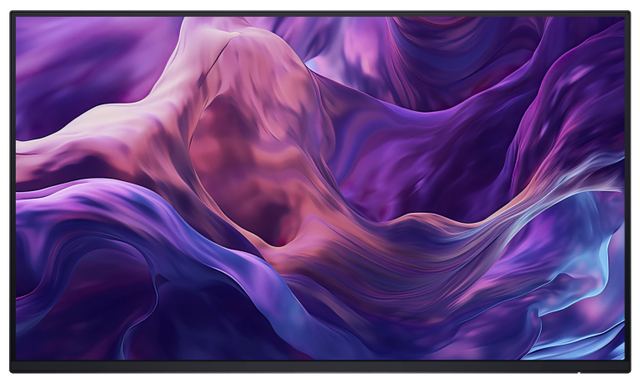 DELL P2425HE WOST 23,8" FHD (1920x1080) 100Hz, with out stand